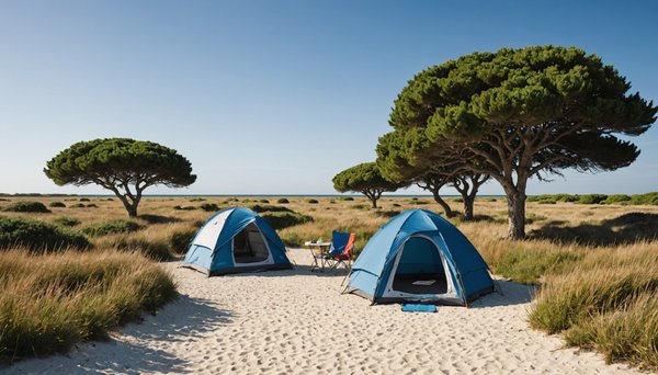Où camper sur l'Île de ré ? les meilleures options pour un séjour idyllique