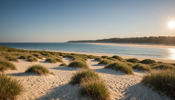 Île rousse en corse : une destination nature pour des vacances en camping